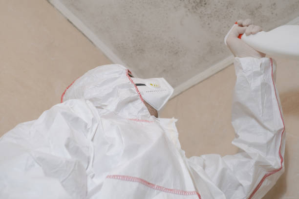 Best Local Mold Removal Service  in Poplar Cotton Center, CA